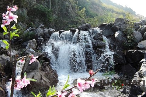 『隨華全，觀天下』 ——走進上虞