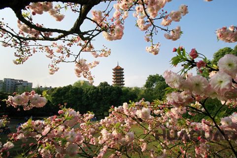 『隨華全，觀天下』 ——走進(jìn)渝北